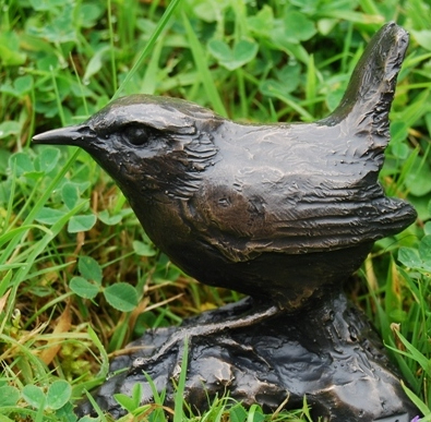 Adult Wren by JOEL