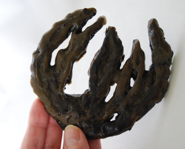 Base Ripples House Martin sculpture in wax 