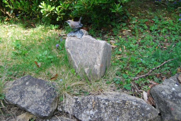 Bird Bronze on Stone by JOEL