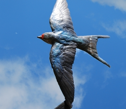Blue Tones of Rutland Colour Swallow by JOEL