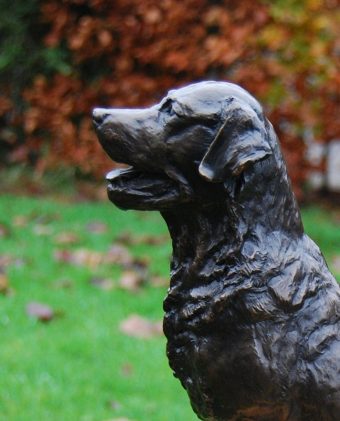 Brone Labrador Dog Portrait Commission by JOEL