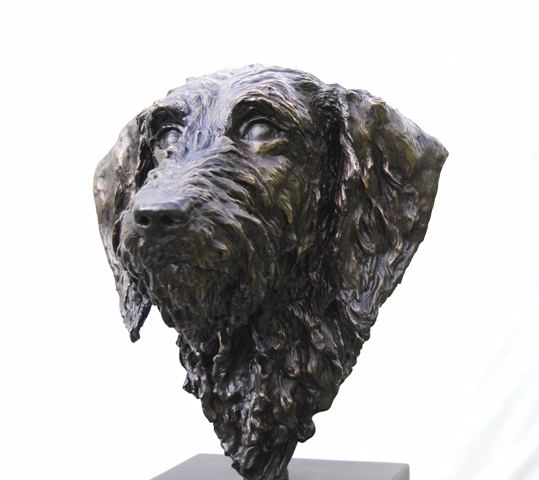 Bronze dog head portrait by JOEL 3/4 view