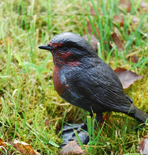 Bronze Robin in the grass by JOEL