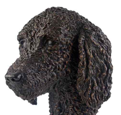 Bronze sculpture commission of Poodle Detail -JOEL