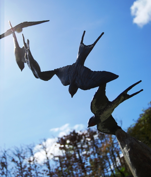 Bronze Swallows against the sky
