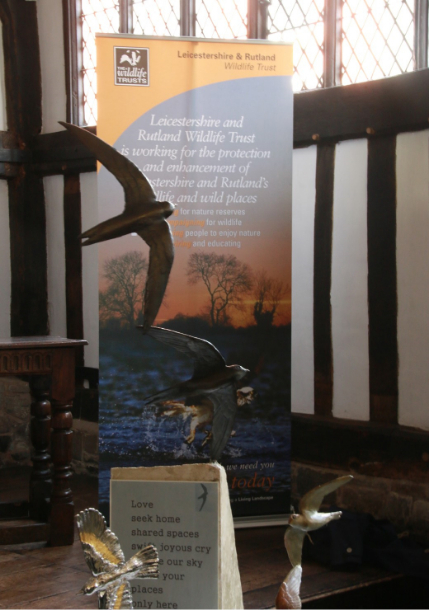 Bronze Swifts Promote Nature Conservation