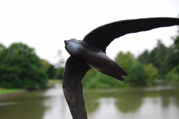 Close up of Swift Bronze by JOEL