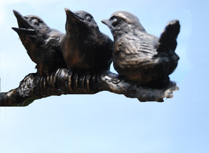 Close up on the Bronze Wren Family by JOEL Walker