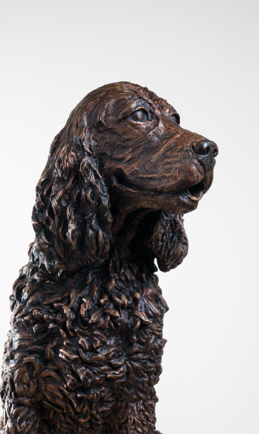 Close up to the bronze dog statue  sculptress Joel