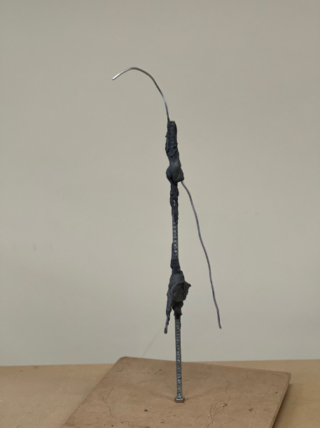 Development of Gyr Falcon Armature