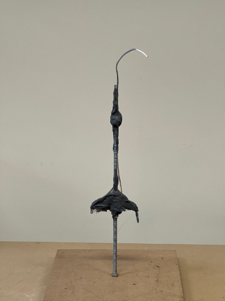 Development of Gyr Falcon Armature