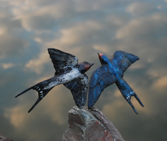 Different Pair of Swallows in the landscape