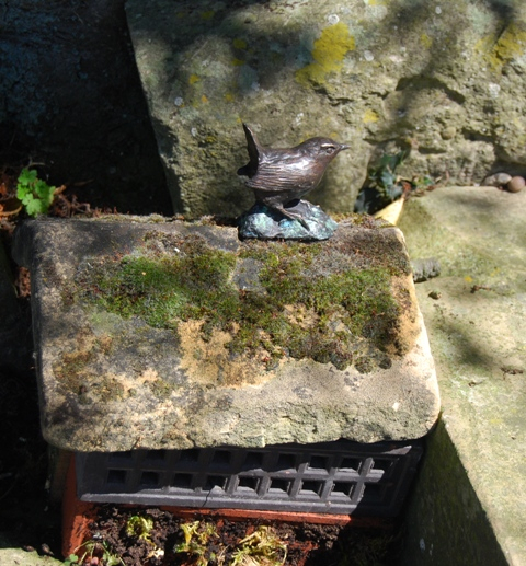 Doddington Hall Wren  Home Wren on a mossy Top 