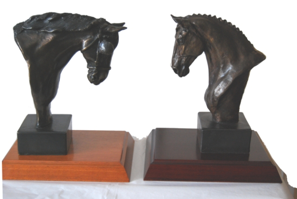 Driving class award & Dutch Warm blood Dressage 