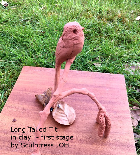 First Stage of the Sculpture of Long Tailed Tit