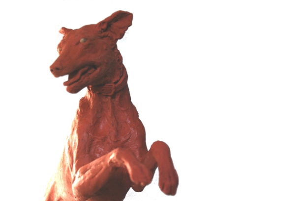 Front view close up Carlos dog by JOEL