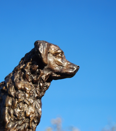 Golden Retriever Bronze