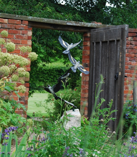 Goldfinches in Herb Garden