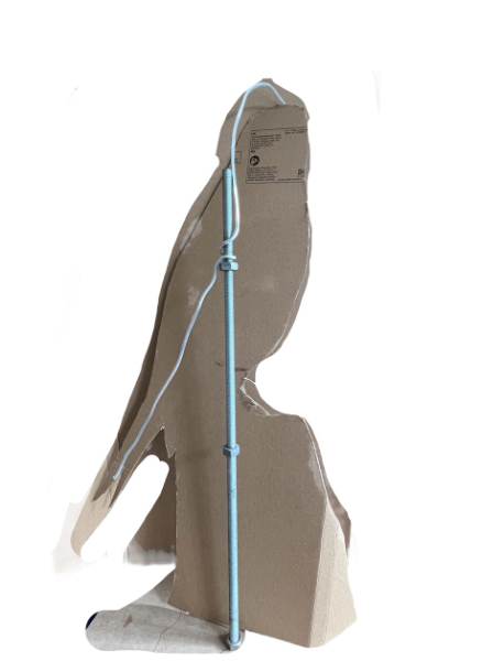 Gyr Falcon first armature 2