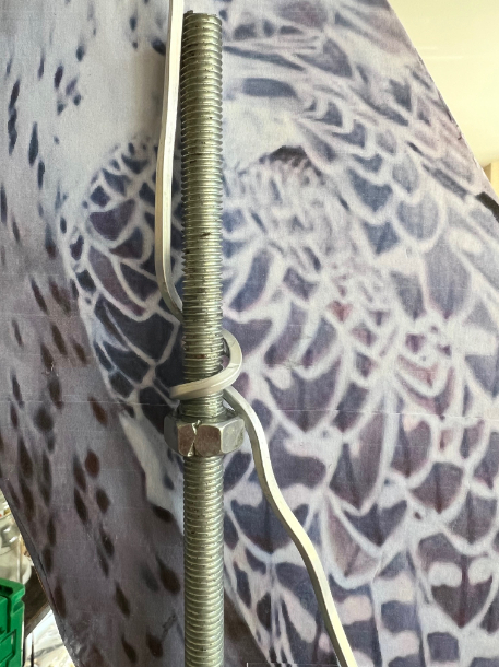 Gyr Falcon first armature close up