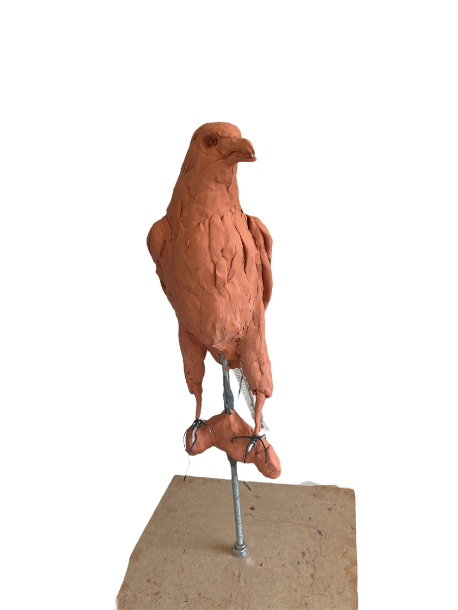 Gyr Falcon Sculpture early development