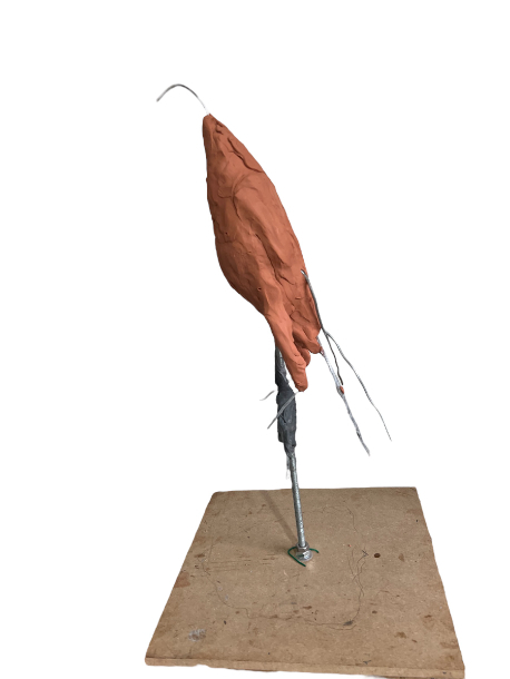 Gyr Falcon Sculpture early development