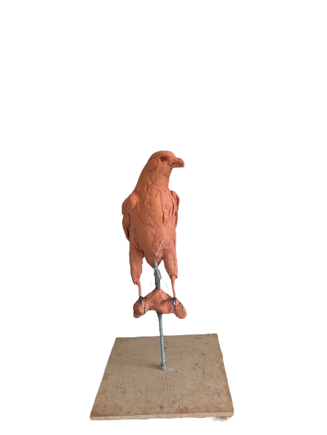 Gyr Falcon Sculpture early development