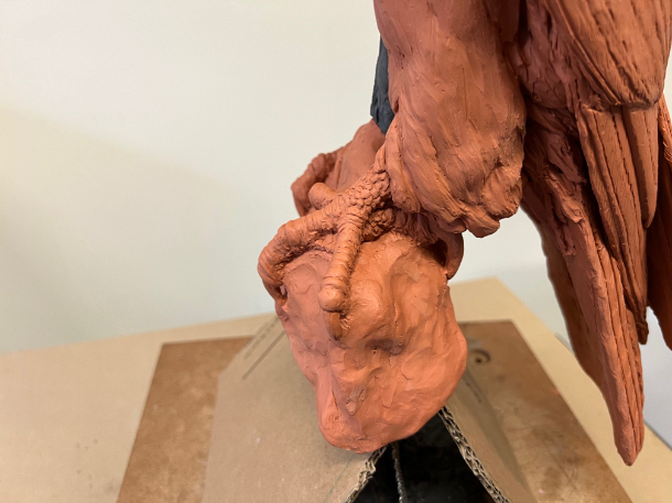 Gyr Falcon Sculpture feet 1 by Sculptress JOEL