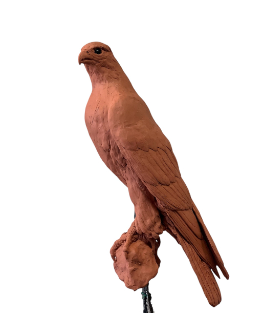 Gyr Falcon Sculpture progress by Sculptress JOEL