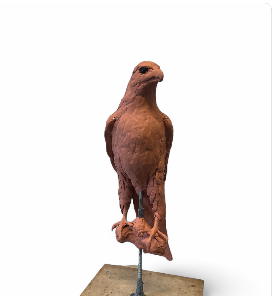 Gyr Falcon Sculpture progress by Sculptress JOEL
