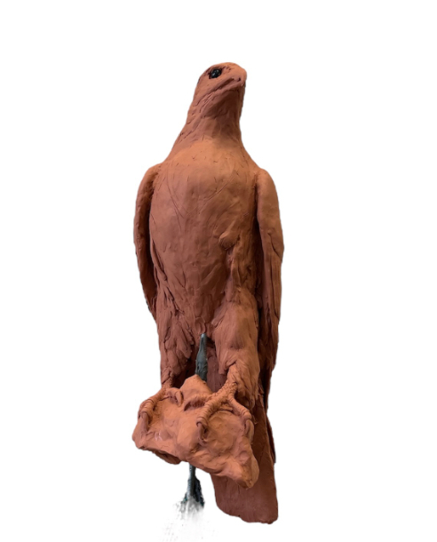 Gyr Falcon Sculpture progress by Sculptress JOEL