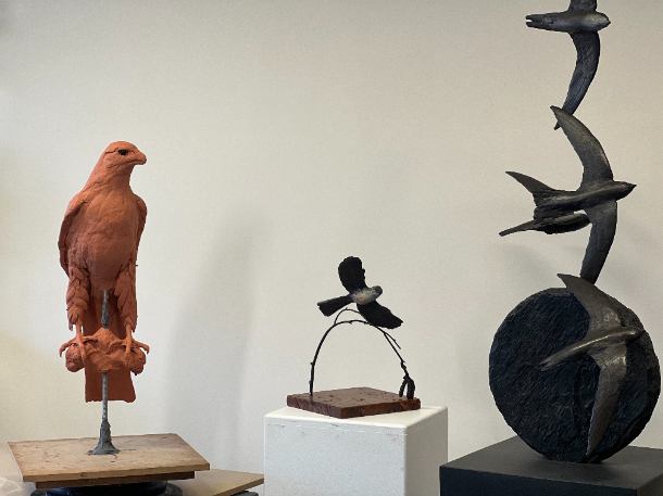 Gyr Falcon  Studio clay by Sculptress JOEL 