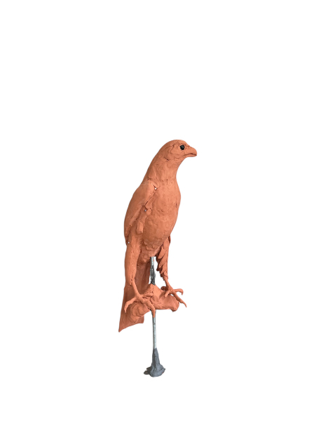Gyr Falcon  tail clay addition 