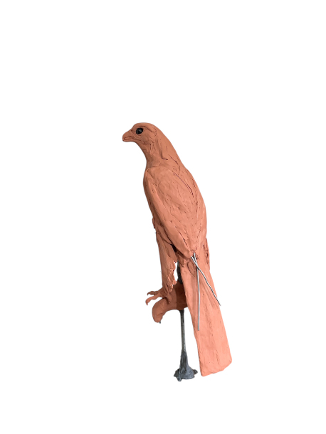 Gyr Falcon  tail clay addition rear