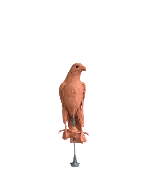 Gyr Falcon  tail clay addition 