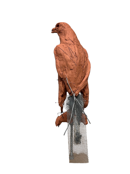 Gyr Falcon  tail mesh support rear view