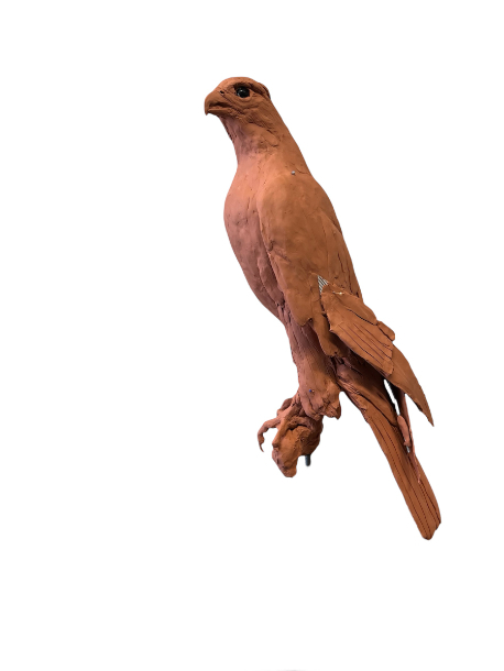 Gyr Sculpture Clay progress  wings clay by JOEL