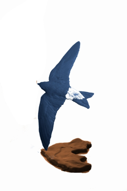 House Martin sculpture Delta design