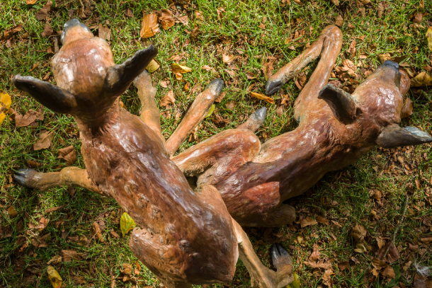 Interplay of Roe Deer Fawn Statues