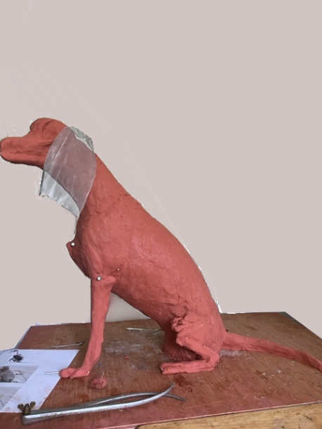 Jasper Dog clay  leg development - check on points