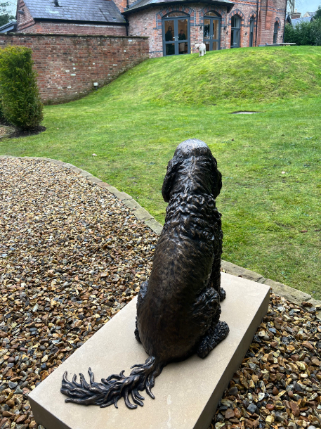 Jasper Spaniel by JOEL at his Home