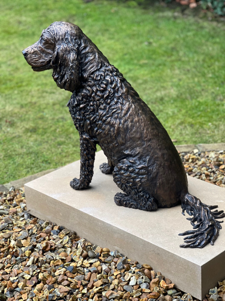Jasper Spaniel by JOEL at his Home