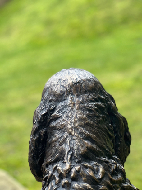 Jasper Spaniel by JOEL Close up look