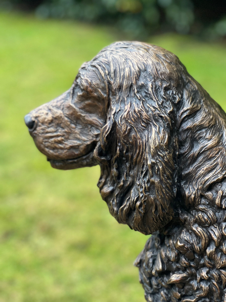 Jasper Spaniel by JOEL Side view at home