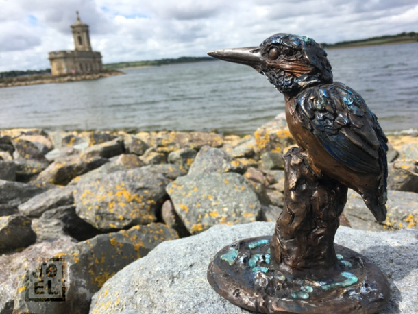 Kingfisher Bright Gleam by JOEL Walker