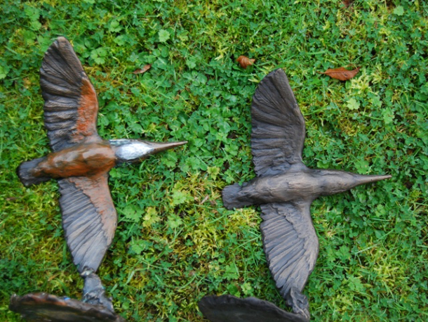 Kingfisher Bronze Detail under Comparison by JOEL