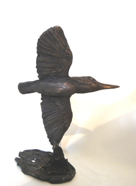 Kingfisher Bronze Detail underside by JOEL