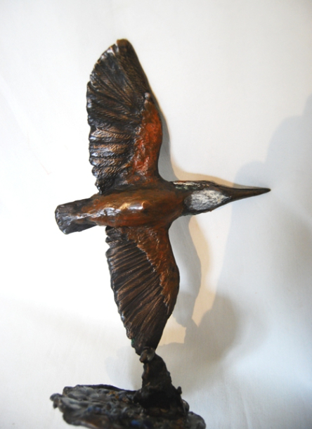 Kingfisher Bronze Detail underside by JOEL