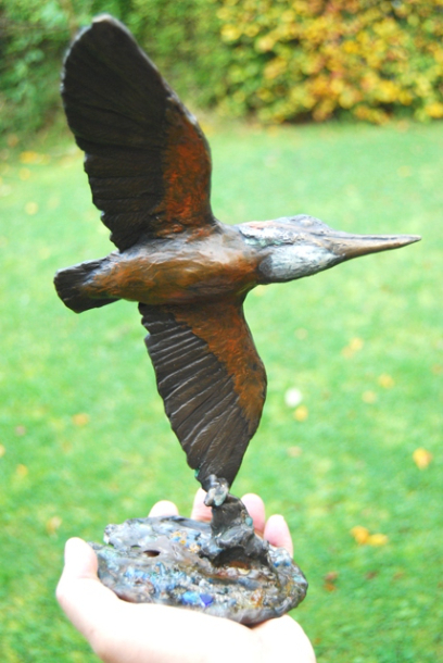 Kingfisher Bronze outside by JOEL