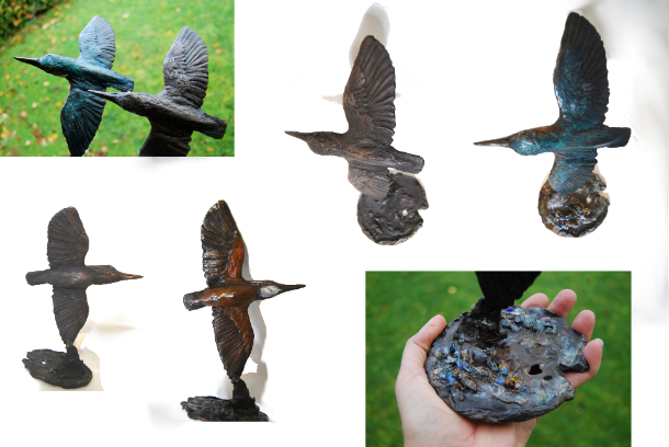 Kingfisher Bronze Startling Bird Colour options by